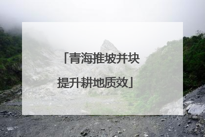 青海推坡并块提升耕地质效