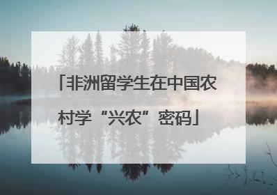 非洲留学生在中国农村学“兴农”密码