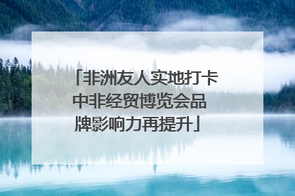 非洲友人实地打卡 中非经贸博览会品牌影响力再提升