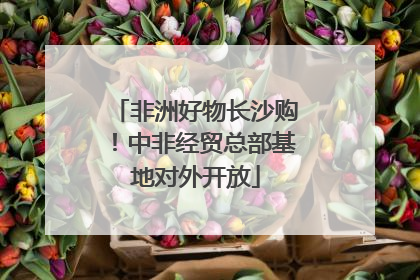非洲好物长沙购！中非经贸总部基地对外开放