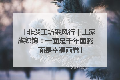 非遗工坊采风行｜土家族织锦：一面是千年图腾 一面是幸福画卷