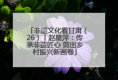 非遗文化看甘肃（26）丨赵星萍：传承非遗匠心 剪出乡村振兴新画卷