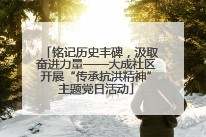 铭记历史丰碑，汲取奋进力量——大成社区开展“传承抗洪精神”主题党日活动