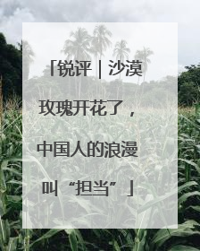 锐评｜沙漠玫瑰开花了，中国人的浪漫叫“担当”