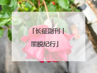 长征副刊丨墨脱纪行
