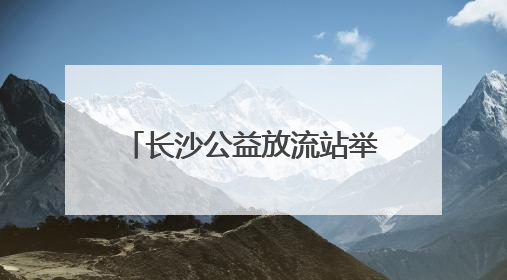 长沙公益放流站举行科学放生行动