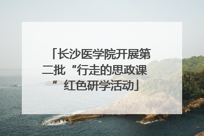 长沙医学院开展第二批“行走的思政课”红色研学活动