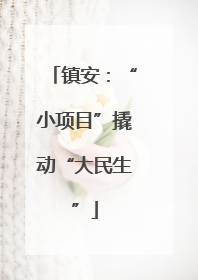 镇安：“小项目”撬动“大民生”