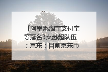 阿里系淘宝支付宝等冠名3支苏超队伍；京东：目前京东币链科技并没有开始发行稳定币｜早资道