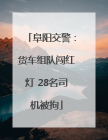 阜阳交警：货车组队闯红灯 28名司机被拘