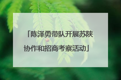陈泽勇带队开展苏陕协作和招商考察活动
