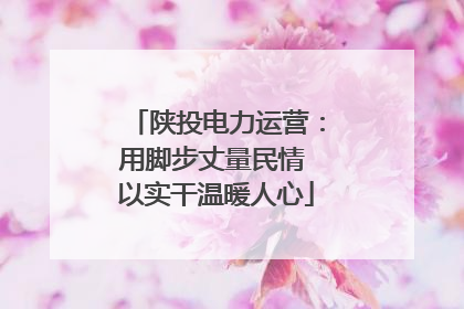 陕投电力运营：用脚步丈量民情 以实干温暖人心