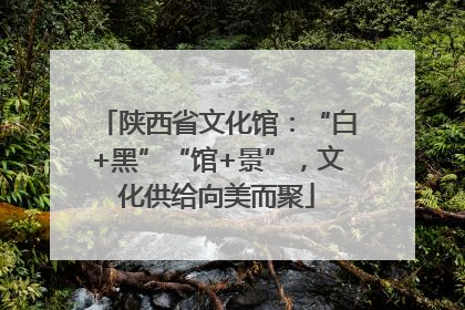 陕西省文化馆：“白+黑”“馆+景”，文化供给向美而聚