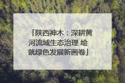 陕西神木：深耕黄河流域生态治理 绘就绿色发展新画卷