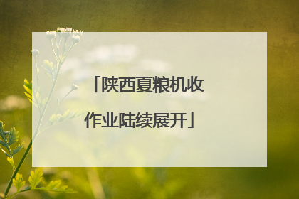 陕西夏粮机收作业陆续展开