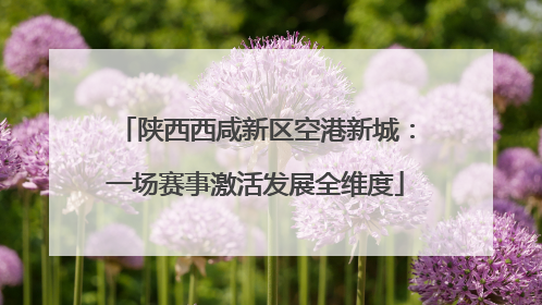 陕西西咸新区空港新城：一场赛事激活发展全维度