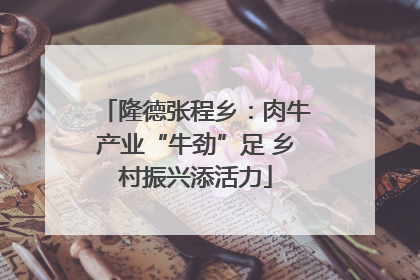 隆德张程乡：肉牛产业“牛劲”足 乡村振兴添活力