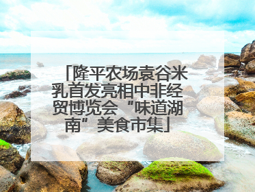 隆平农场袁谷米乳首发亮相中非经贸博览会“味道湖南”美食市集