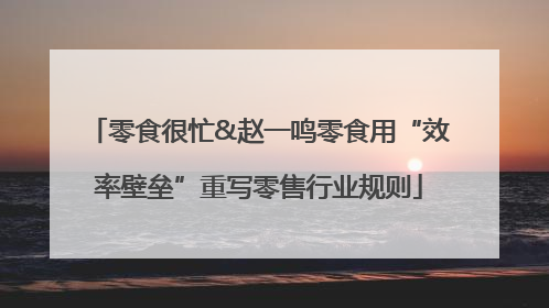 零食很忙&赵一鸣零食用“效率壁垒”重写零售行业规则