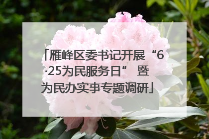 雁峰区委书记开展“6·25为民服务日” 暨为民办实事专题调研