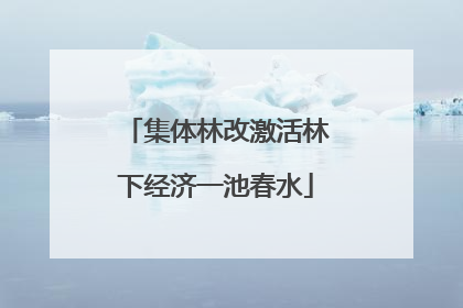 集体林改激活林下经济一池春水