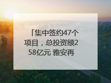 集中签约47个项目，总投资额258亿元 雅安再添发展“新引擎”｜数读西投