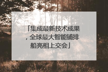 集成最新技术成果，全球最大智能铺排船亮相上交会
