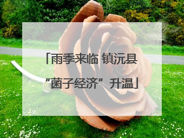 雨季来临 镇沅县“菌子经济”升温