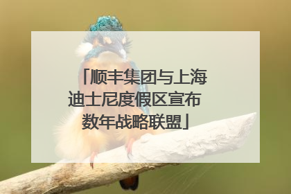 顺丰集团与上海迪士尼度假区宣布数年战略联盟