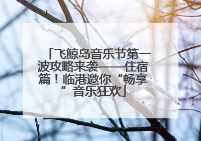 飞鲸岛音乐节第一波攻略来袭——住宿篇！临港邀你“畅享”音乐狂欢
