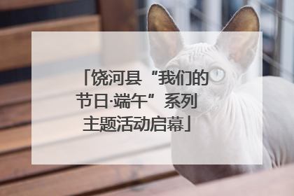 饶河县“我们的节日·端午”系列主题活动启幕