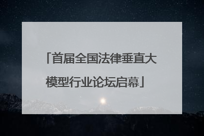 首届全国法律垂直大模型行业论坛启幕
