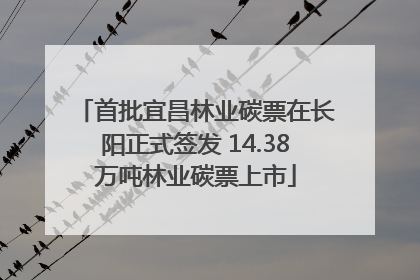 首批宜昌林业碳票在长阳正式签发 14.38万吨林业碳票上市