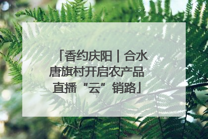 香约庆阳｜合水唐旗村开启农产品直播“云”销路