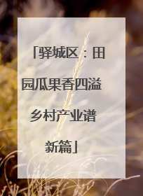 驿城区：田园瓜果香四溢 乡村产业谱新篇