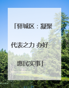 驿城区：凝聚代表之力 办好惠民实事