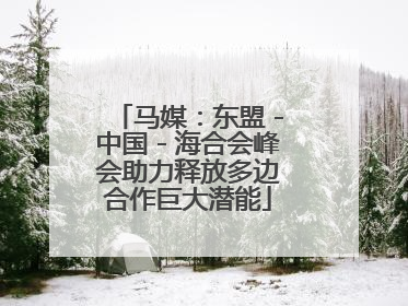 马媒：东盟－中国－海合会峰会助力释放多边合作巨大潜能