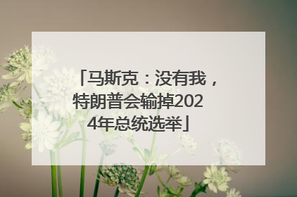 马斯克：没有我，特朗普会输掉2024年总统选举