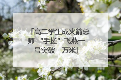 高二学生成火箭总师 “手搓”飞燕一号突破一万米