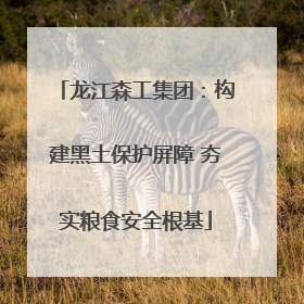 龙江森工集团：构建黑土保护屏障 夯实粮食安全根基