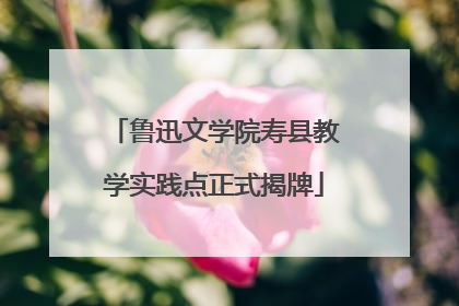 鲁迅文学院寿县教学实践点正式揭牌