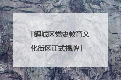 鲤城区党史教育文化街区正式揭牌