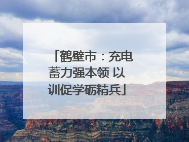 鹤壁市：充电蓄力强本领 以训促学砺精兵