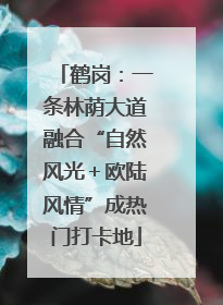 鹤岗：一条林荫大道融合“自然风光＋欧陆风情”成热门打卡地