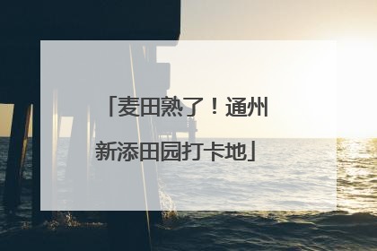 麦田熟了！通州新添田园打卡地