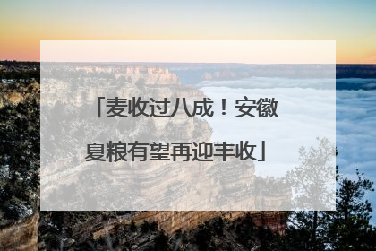 麦收过八成！安徽夏粮有望再迎丰收