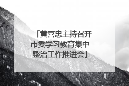 黄喜忠主持召开市委学习教育集中整治工作推进会