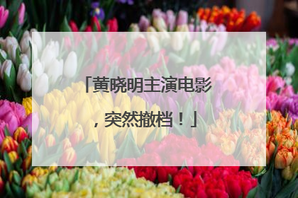 黄晓明主演电影，突然撤档！
