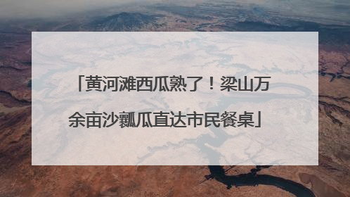 黄河滩西瓜熟了！梁山万余亩沙瓤瓜直达市民餐桌