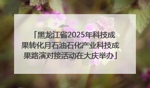 黑龙江省2025年科技成果转化月石油石化产业科技成果路演对接活动在大庆举办